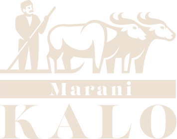 Marani Kalo Icon Cream